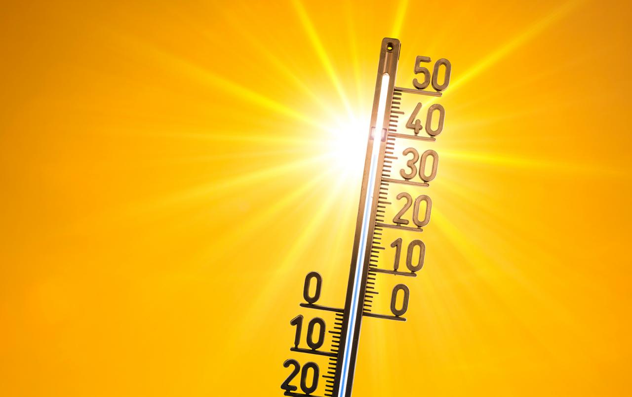 Canicule